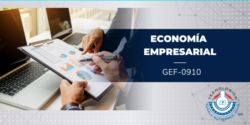 ECONOMÍA EMPRESARIAL - IGEM