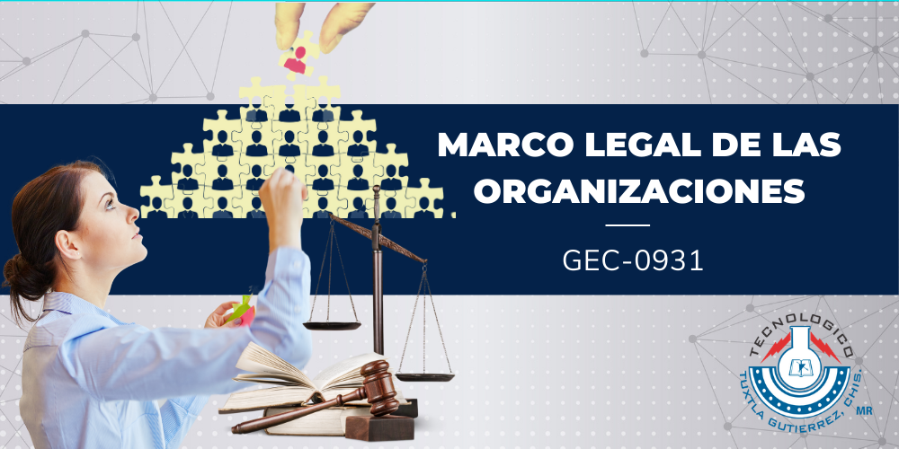 MARCO LEGAL EN LAS ORGANIZACIONES - IGEM