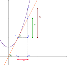 CALCULO DIFERENCIAL SABAS 2025