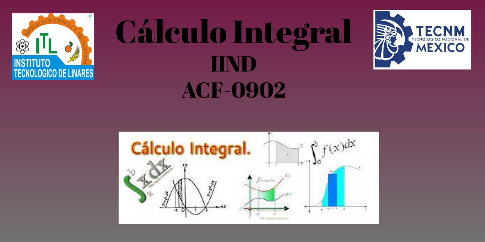 Cálculo Integral